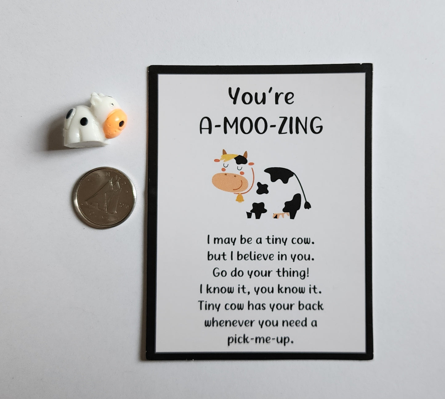 Pocket Inspiration with Pocket Pals!