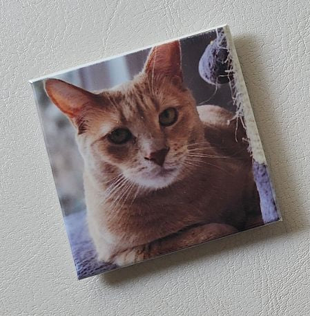 Set of Custom Personalized Photo Magnets (Square)