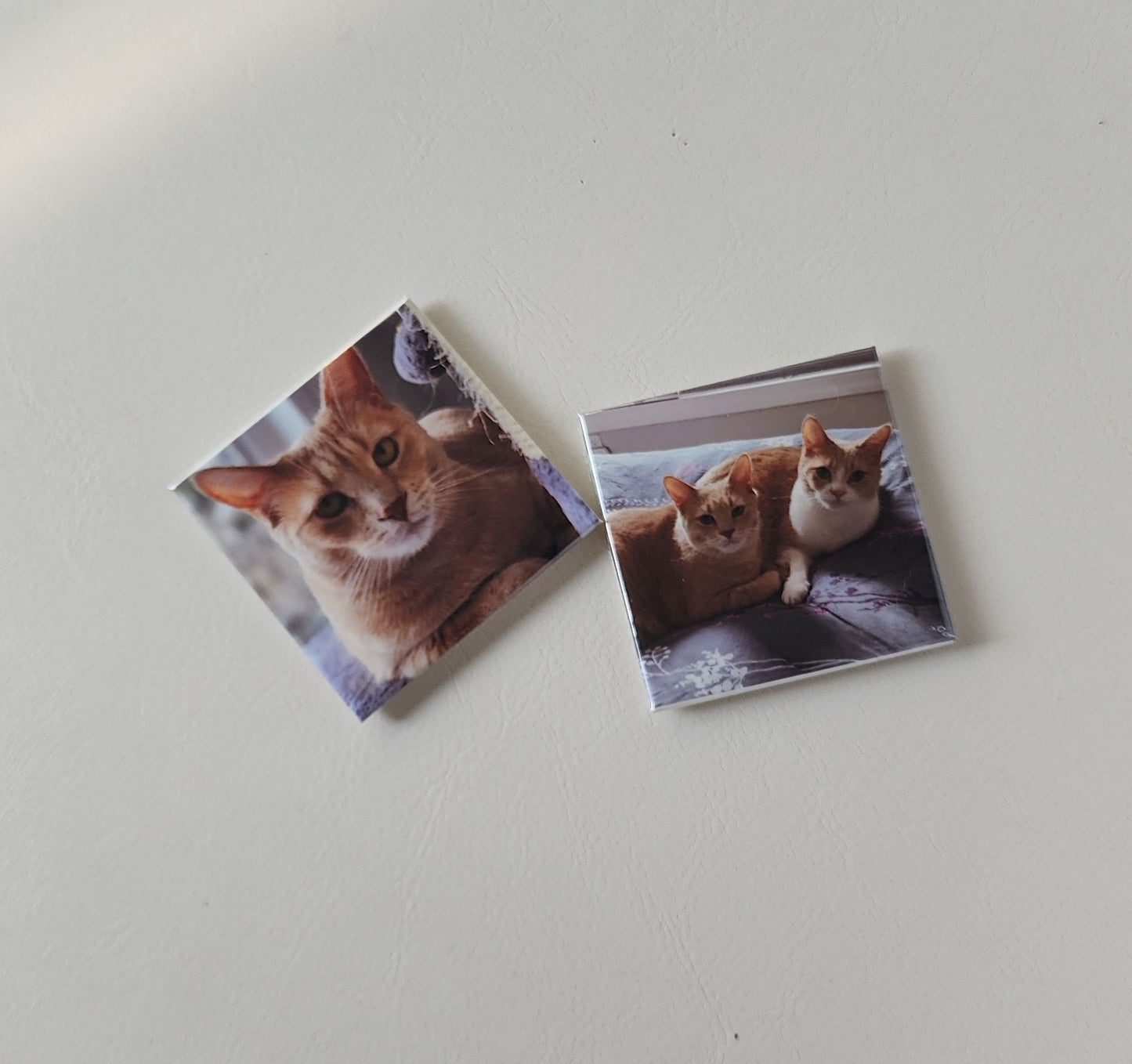 Set of Custom Personalized Photo Magnets (Square)