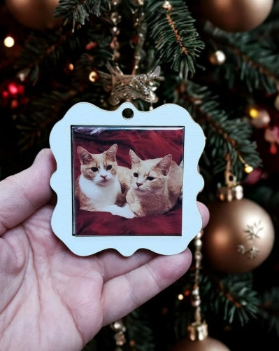Photo Magnet Ornaments!