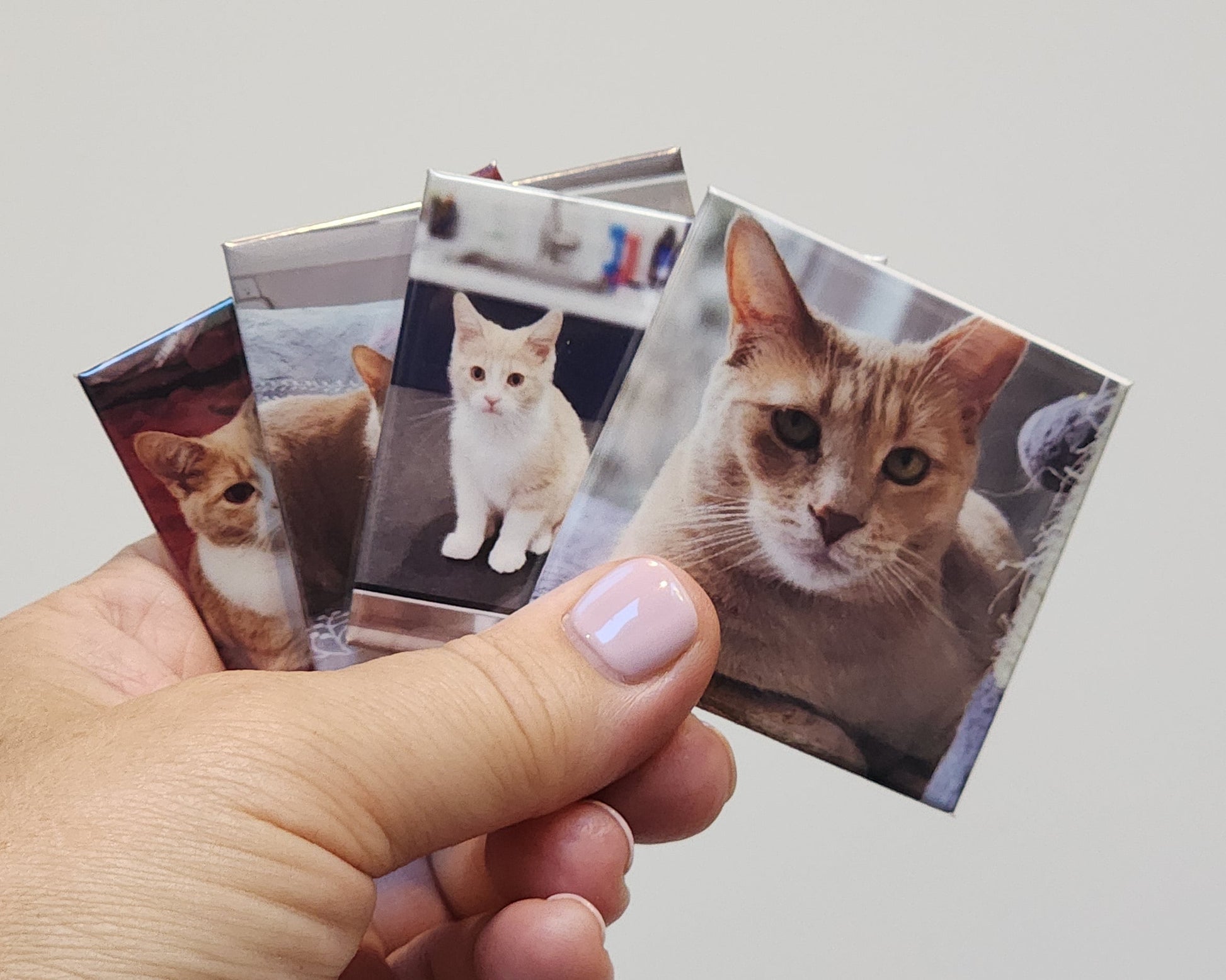 Hand holding four small photo magnets with cat images against a plain background