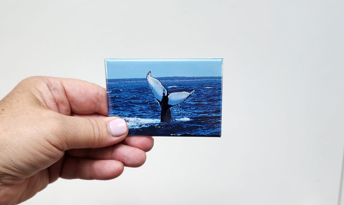 Set of Custom Personalized Photo Magnets (Rectangle)